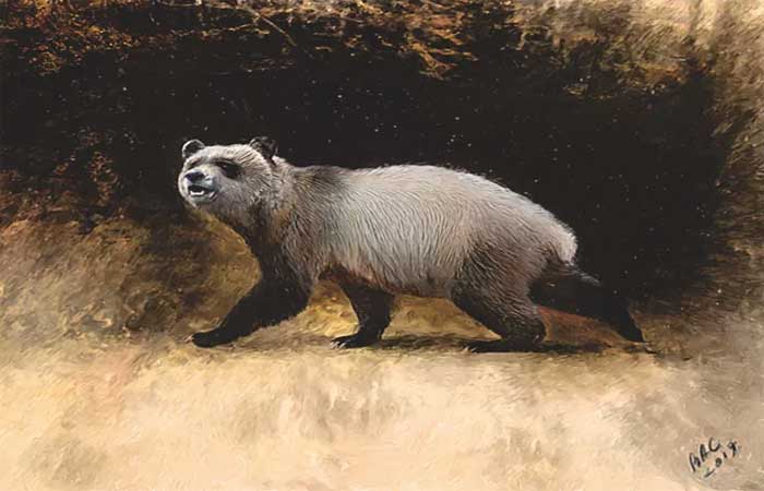 Fósseis revelam panda gigante que viveu há 6 milhões de anos na Europa