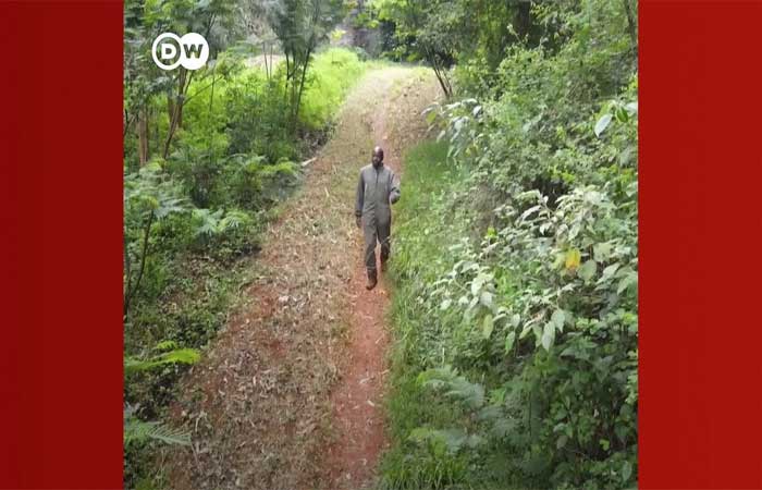 Homem planta sua própria floresta no Quênia e fala dos benefícios