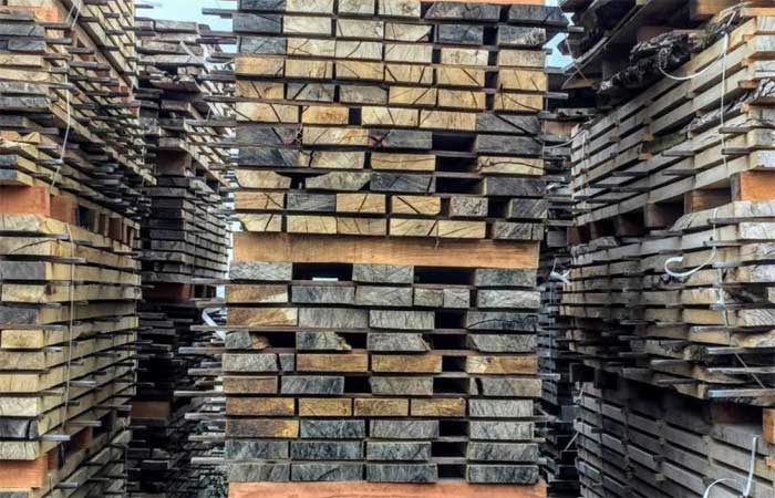 8 maneiras pelas quais as cidades podem adquirir madeira de origem sustentável