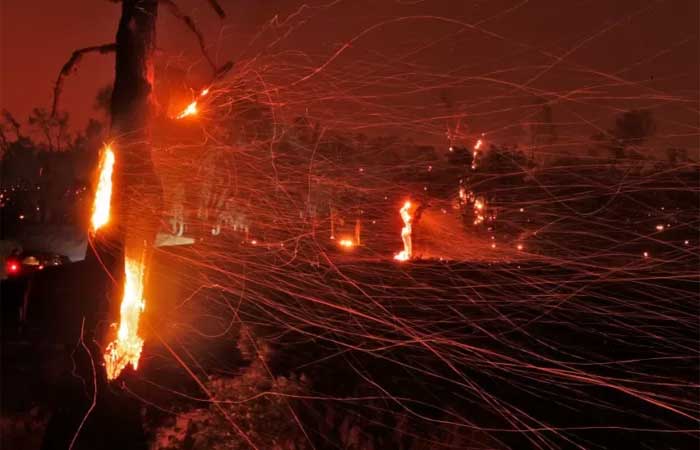 O que são os ‘raios secos’, causadores de incêndios florestais devastadores