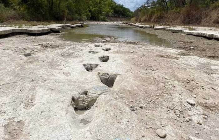 Seca de rio revela pegadas de dinossauros que viveram cerca de 113 milhões de anos atrás