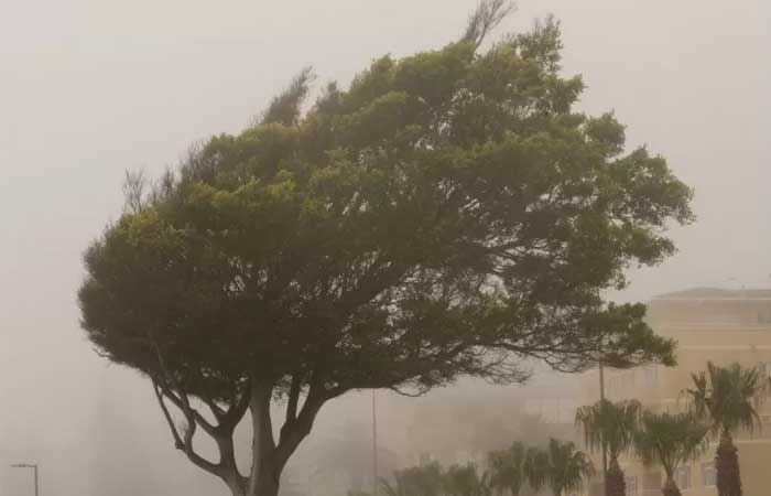 Ciclone extratropical: o que é o fenômeno que causa chuvas e ventania em parte do Brasil