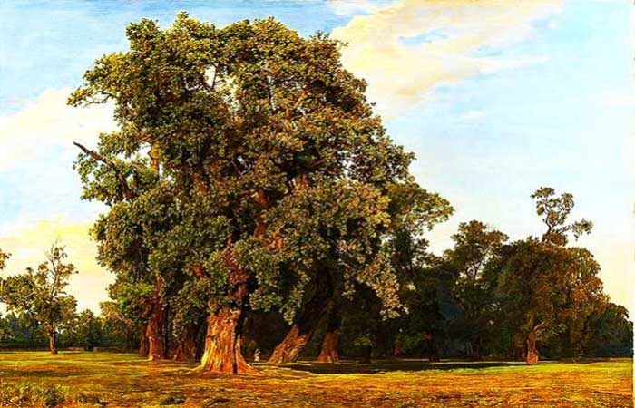 Pensando como uma árvore – um tributo aos sustentadores da vida
