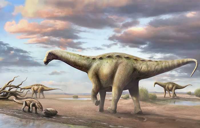 “Pequeno peregrino das árvores” é o mais novo dinossauro brasileiro identificado