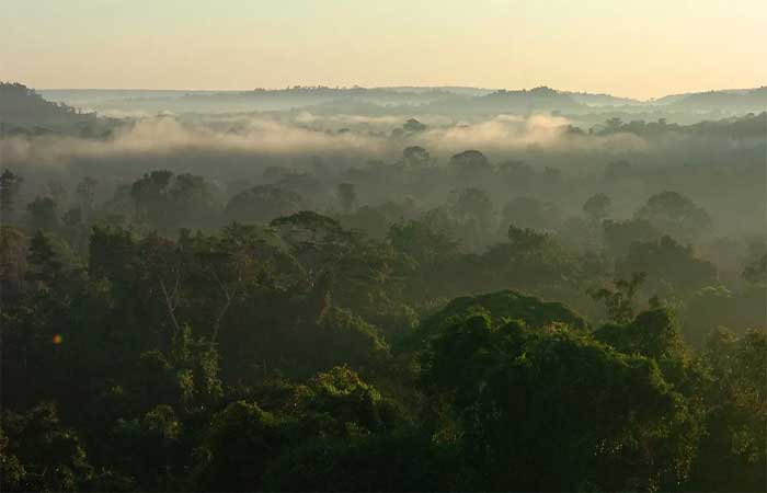 Preservação da Amazônia possibilita soberania dos países latino-americanos