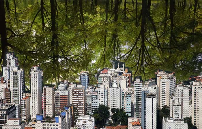Proteção ao meio ambiente nas cidades se encontra entre o direito urbanístico e o ambiental
