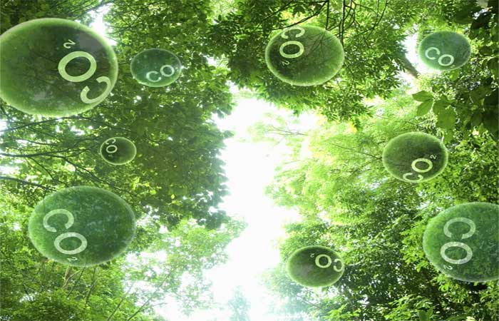 Em busca da fotossíntese artificial: técnica pode ajudar a remover CO2 do ar e criar combustíveis renováveis