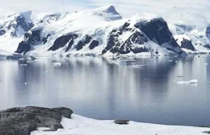 Cientistas encontraram DNA de um milhão de anos na Antártida