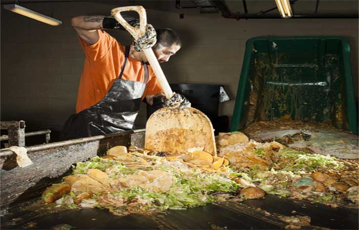 Dia contra o desperdício de alimentos: veja 5 dicas para evitar jogar comida fora