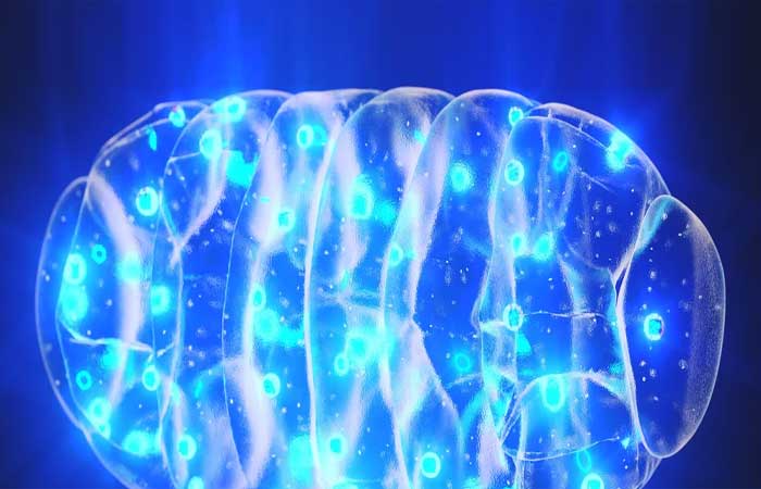 Risco de ter Alzheimer pode estar ligado às mitocôndrias, diz estudo