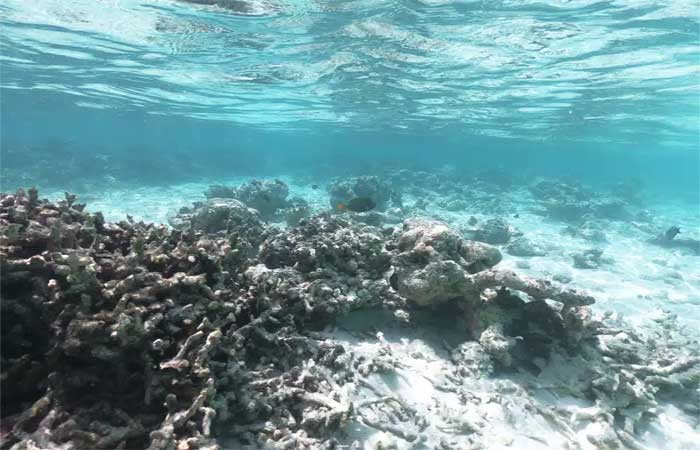 Água de oceano “primitivo” está presa em bolhas, segundo pesquisadores