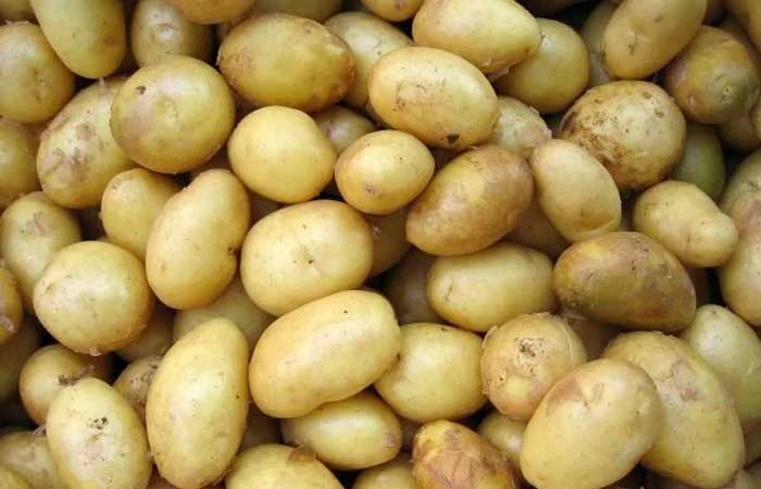 Substâncias presentes nas batatas podem prevenir o câncer, diz estudo