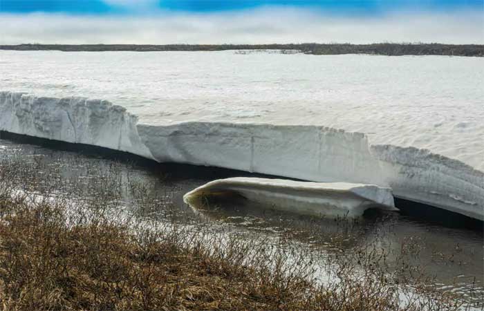 Um vírus de mais de 48.000 anos voltou à vida a partir do derretimento do permafrost