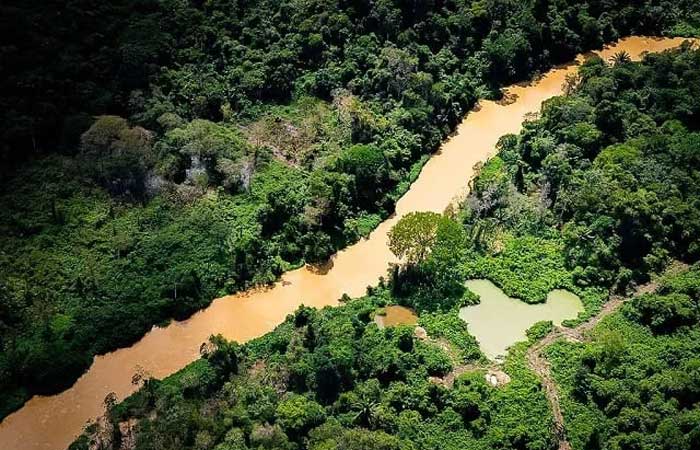 Estrada ilegal ameaça povo isolado na Terra Indígena Yanomami
