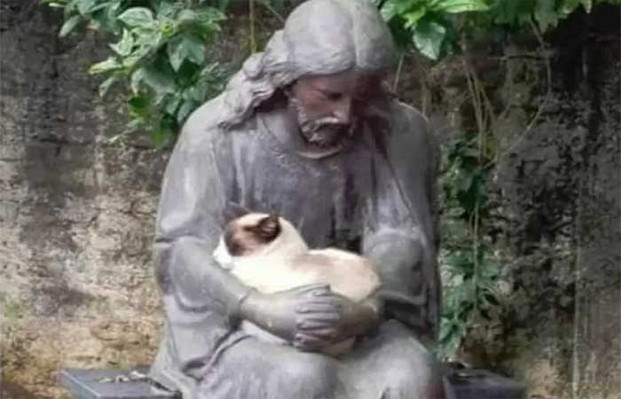 Imagem de gatinho dormindo nos braços de estátua de Jesus nos faz refletir sobre todos os animais em situação de vulnerabilidade
