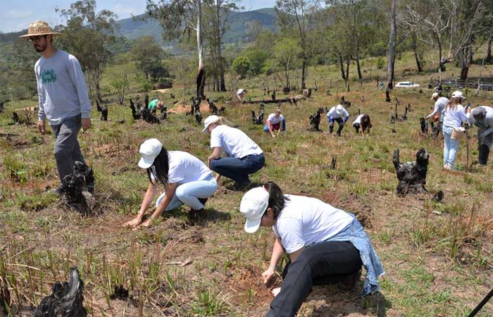 Projeto Raízes da União inicia plantio de mudas de árvores na Serra da Mantiqueira em MG