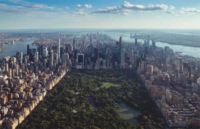 Vegetação de Nova York é capaz de absorver as emissões de carbono de todos os veículos da cidade