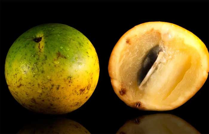 8 benefícios da fruta Abiu para a saúde