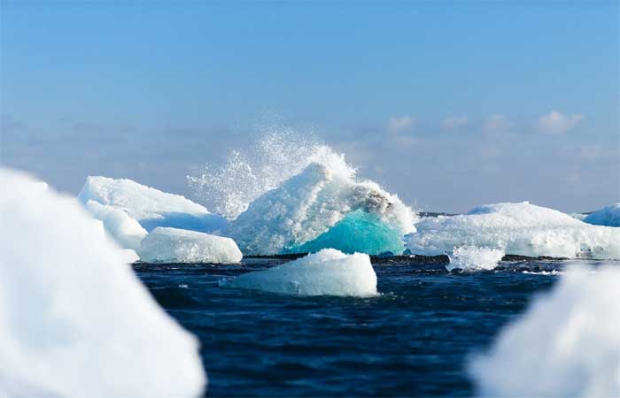 Aquecimento do Ártico aumenta a biodiversidade local, afirma pesquisa