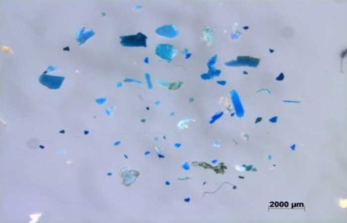 Nova forma de analisar a poluição por microplástico pode facilitar a avaliação dos impactos ambientais