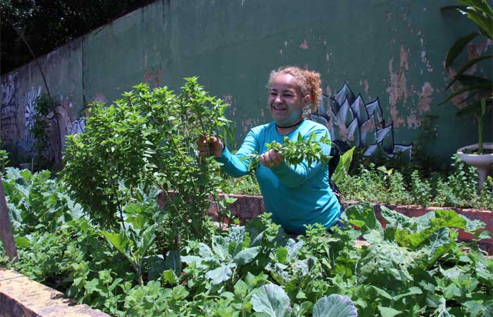 Hortas escolares garantem alimentação saudável e consciência ambiental
