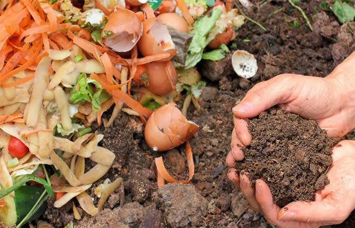 Comuna do Chile pratica lixo zero com resíduos vegetais