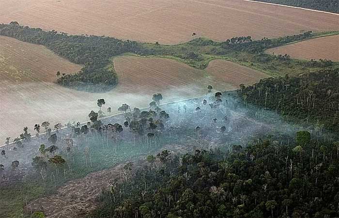 Na Amazônia, 38% da floresta que sobreviveu ao desmatamento está sujeito à degradação