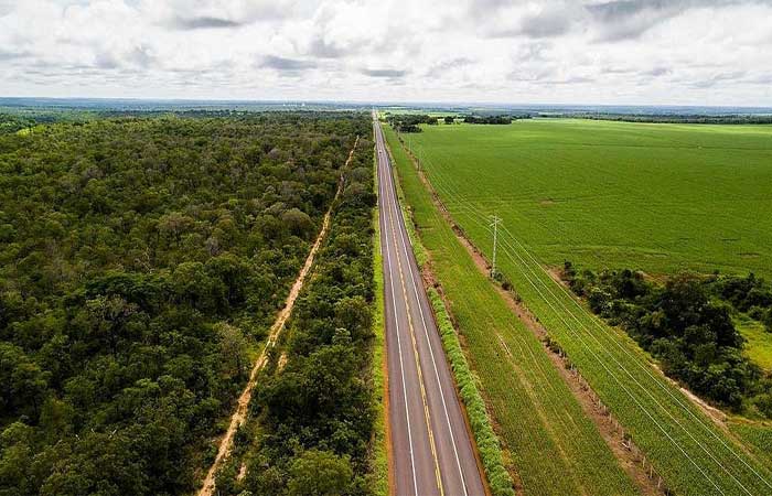Desmatamento do Cerrado sobe 88% na Bahia e no Piauí