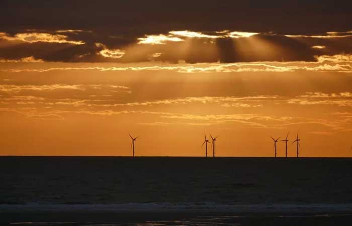 Impacto da exploração de energia eólica em alto mar ainda precisa ser dimensionado