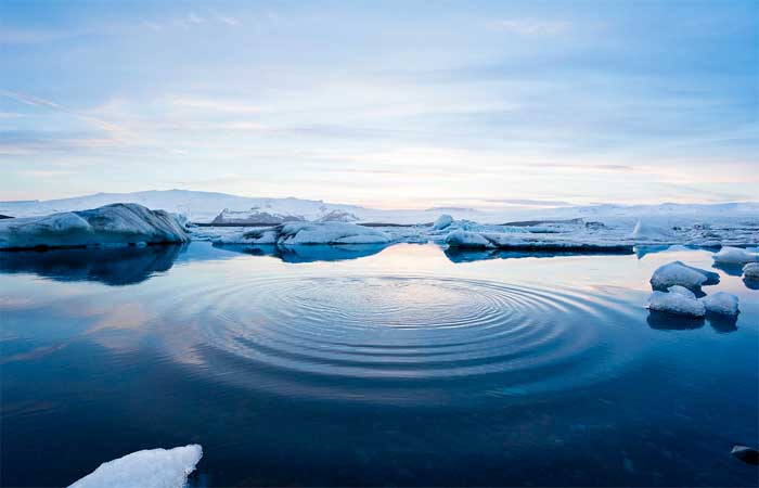 Projeto Polar Sounds une cientistas, músicos e os sons dos oceanos