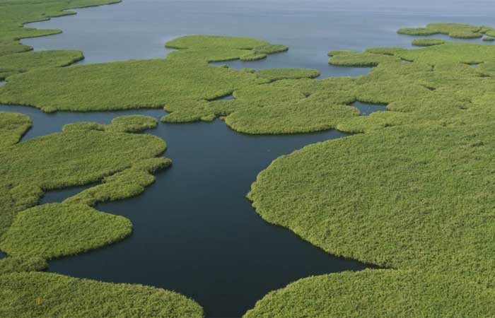 Conheça as cinco áreas úmidas mais importantes do mundo