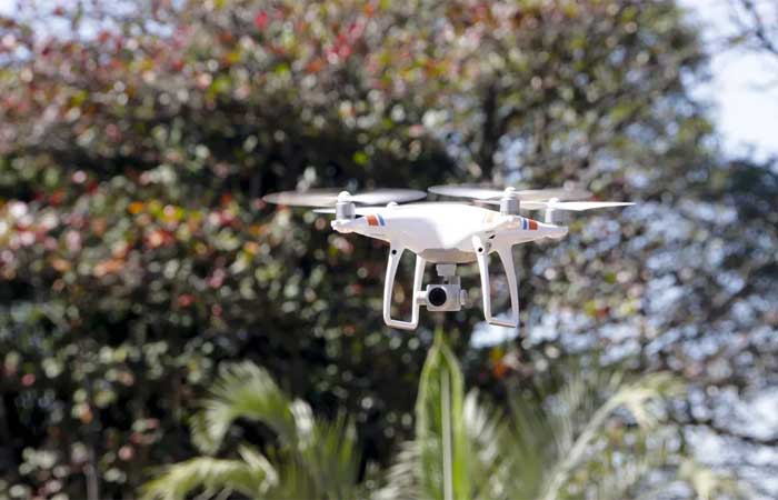 Drones e modelagem 3D auxiliarão a recuperação de florestas