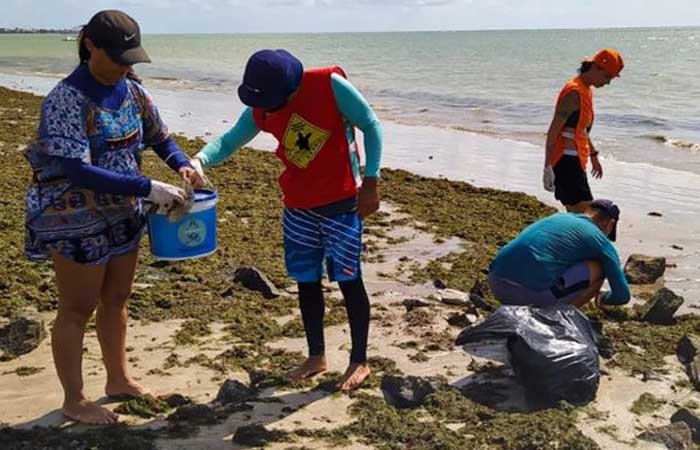 ONG Guajiru realiza primeira ação de limpeza do mar em 2023