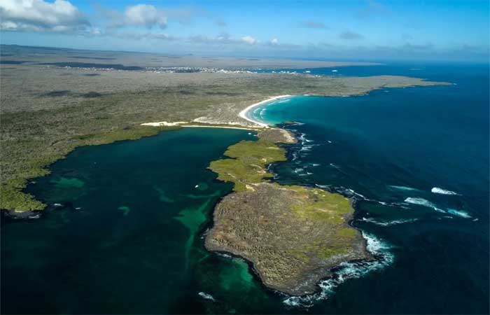 Plástico nos oceanos ameaça biodiversidade na darwiniana Galápagos