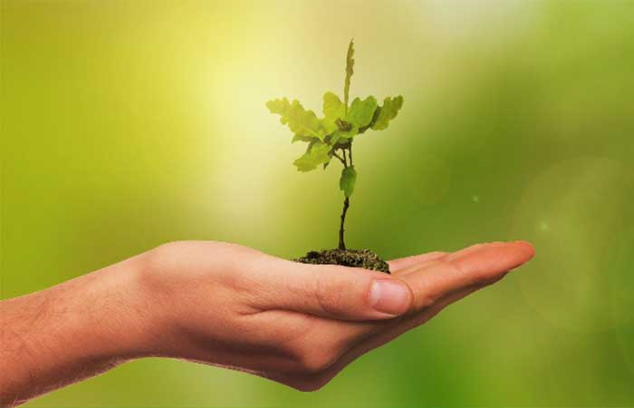3 dicas de ação ecológica para a igreja