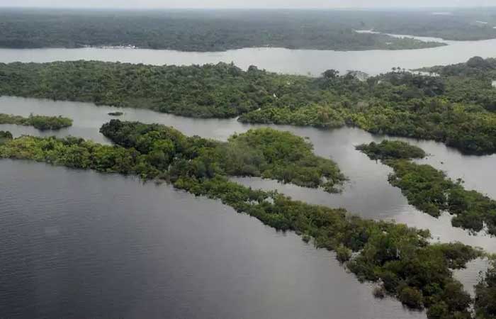 Desmate na Amazônia é o 2º mais alto para o primeiro trimestre; Cerrado tem recorde