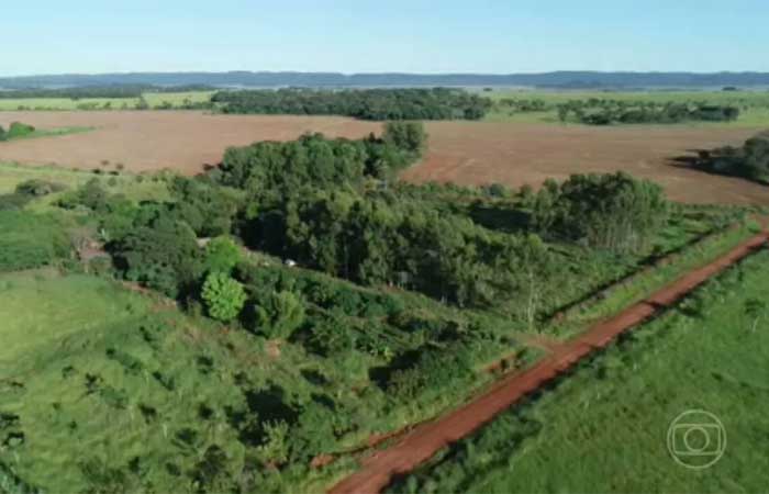 Iniciativa de produtores rurais ajuda a recuperar uma das áreas mais degradadas do Cerrado
