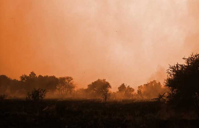 Fuligem de queimadas na África atravessa o Atlântico e atinge atmosfera amazônica