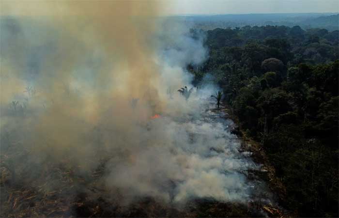 Amazônia registra recorde de queimadas no mês de maio
