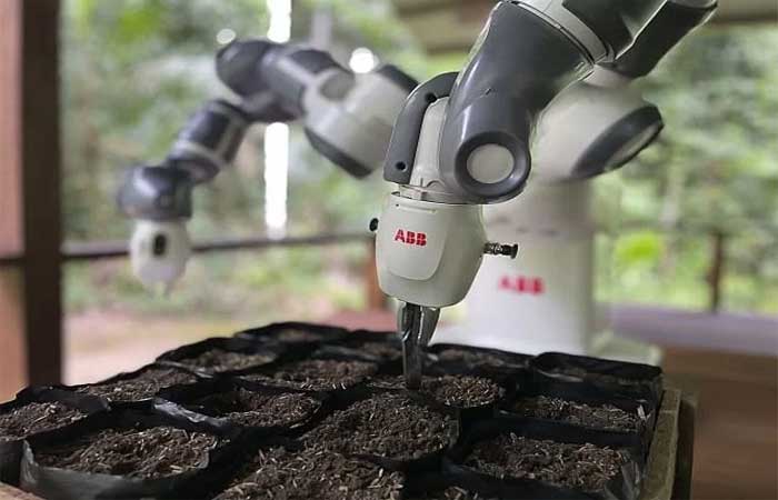 Robô automatiza projeto de reflorestamento da Amazônia