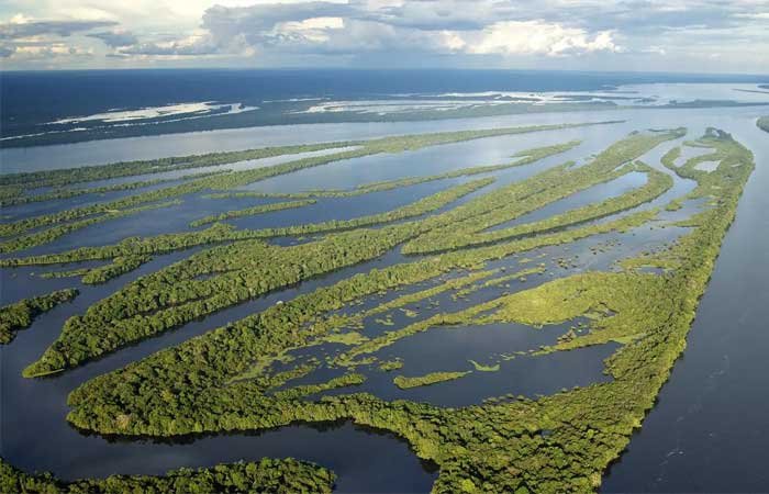 As medidas para evitar que El Niño provoque ‘hecatombe’ na Amazônia