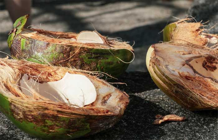 Pesquisador usa casca de coco para tratar águas