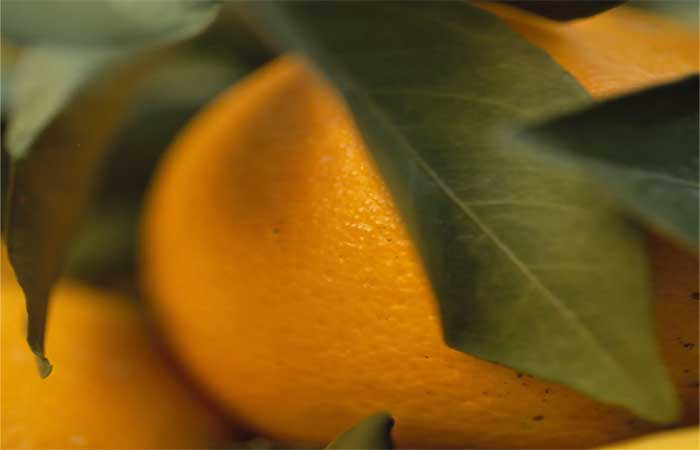 Qual fruta é considerada a rainha da vitamina C? Dica, não é a laranja