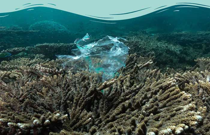 Poluição plástica em recifes profundos é generalizada e preocupa biólogos