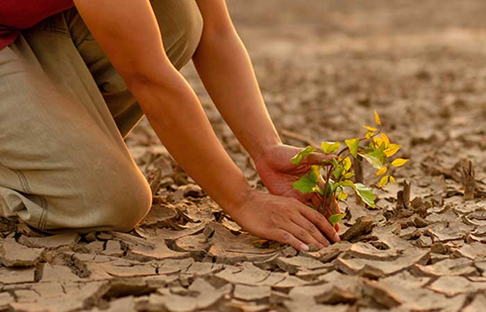 Como o mundo tem atuado no combate à desertificação