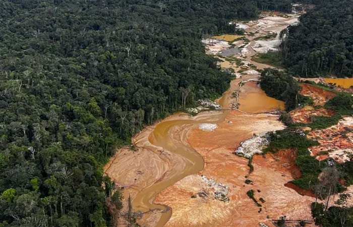 Desmatamento na Amazônia tem bons sinais, mas segue desafio