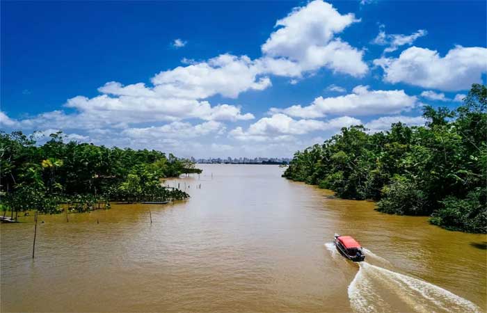 “Área da Amazônia está perto do ponto de não retorno”, diz cientista sobre 122% de aumento em emissões de CO2 na região