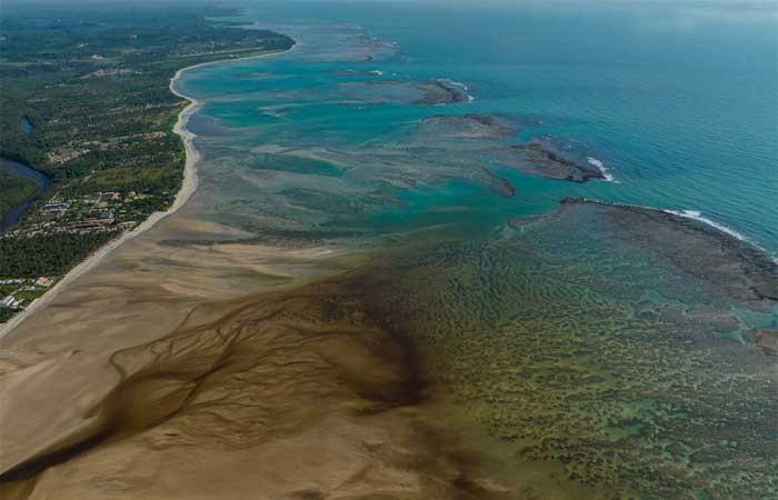 ‘Protejam os Corais’: histórias da maior área de conservação costeira / marinha do Brasil