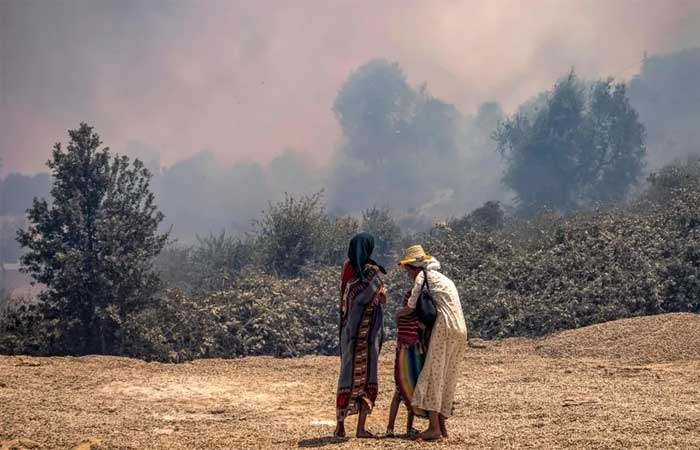 Como a fuligem das queimadas da África impacta o clima da Amazônia no Brasil