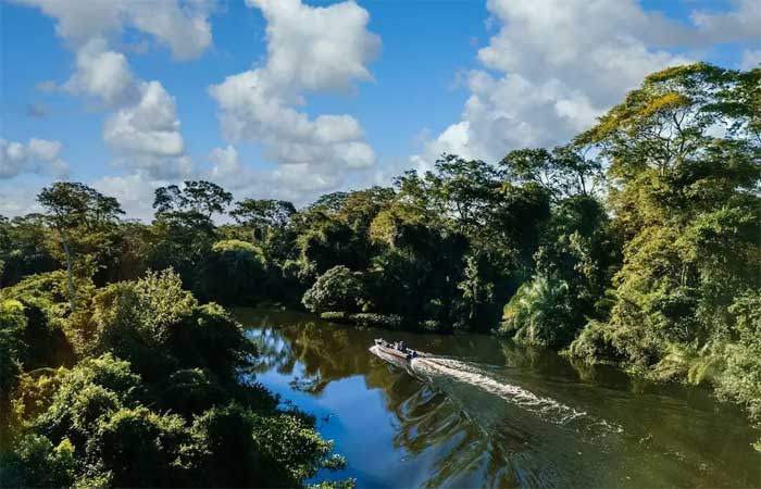 Planícies alagadas da Amazônia podem virar savanas, aponta estudo
